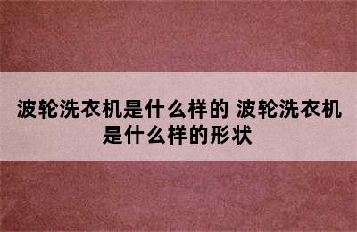 波轮洗衣机是什么样的 波轮洗衣机是什么样的形状